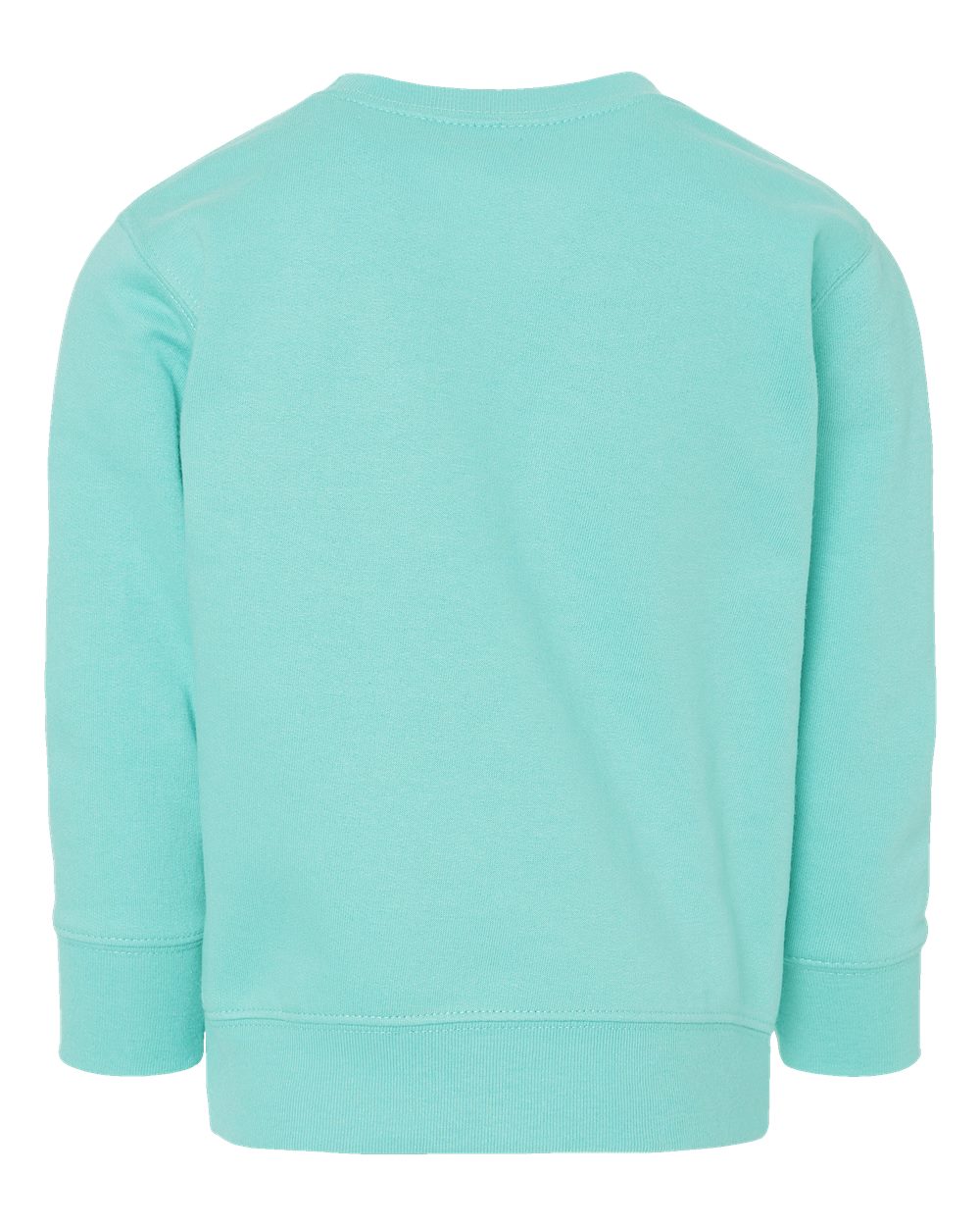 Toddler Fleece Crewneck Sweatshirt - Back - B32938173 - Chill