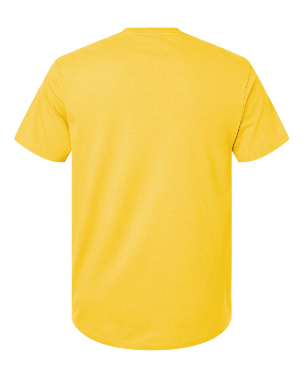 Light Cotton T-Shirt - Back - B02860192 - Daisy