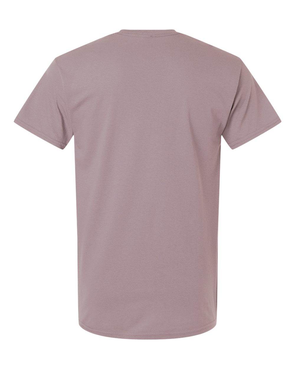 Light Cotton T-Shirt - Back - B02860352 - Paragon