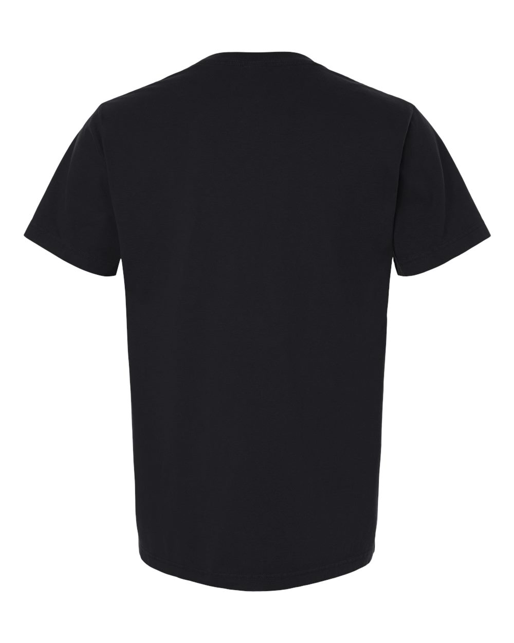 Unisex Heavyweight Garment-Dyed Tee - Back - B08306502 - Black