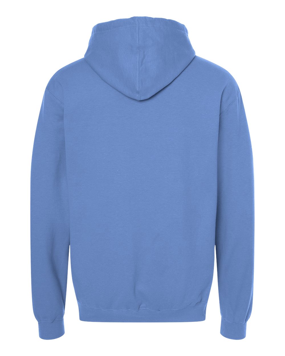 Fleece Hooded Sweatshirt - Back - B31359262 - Columbia Blue