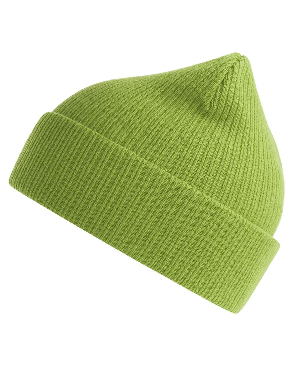 Sustainable Cuffed Beanie - DirectSide - B02795540 - Leaf Green