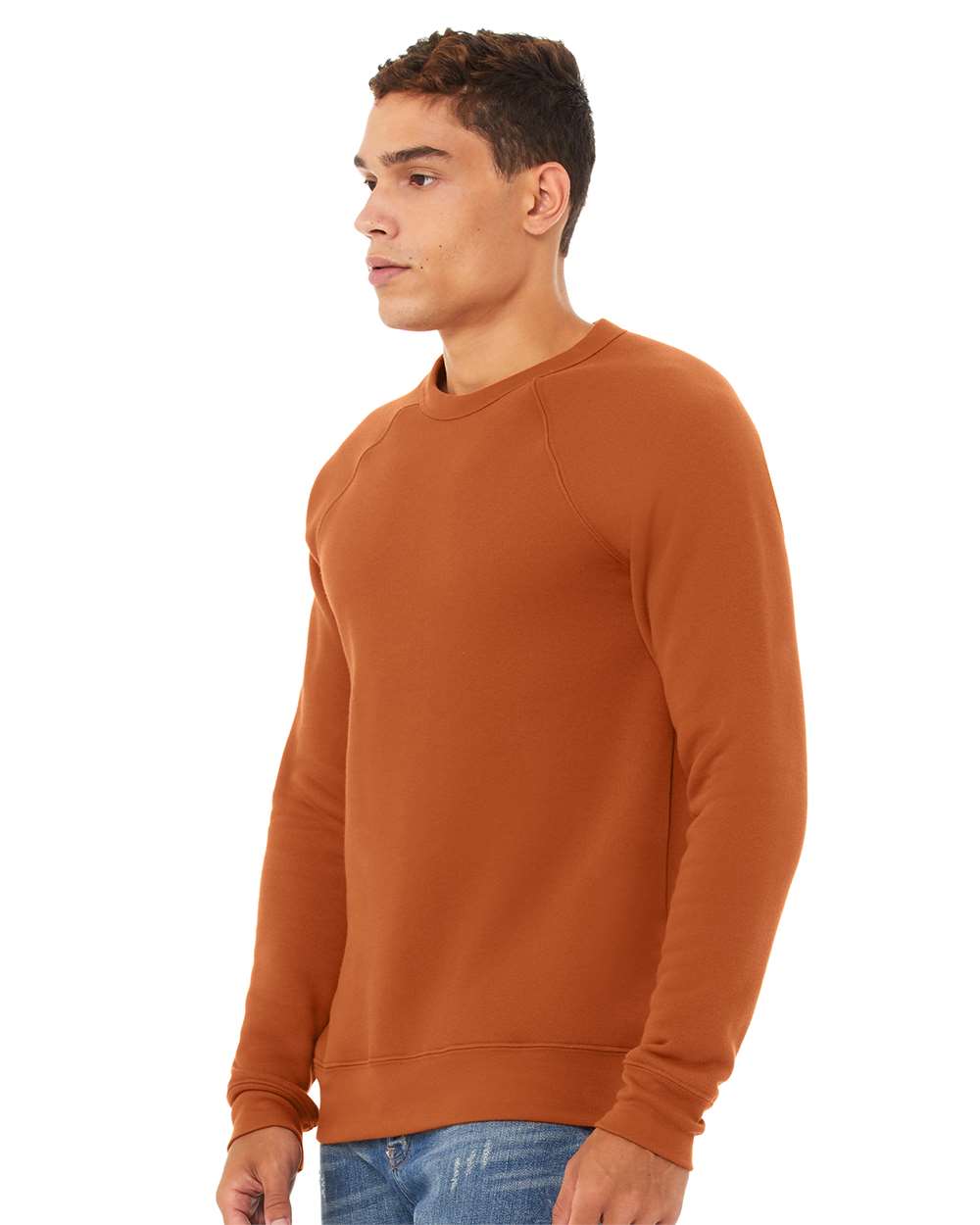 Unisex Sponge Fleece Raglan Crewneck Sweatshirt - OnModelSide - B85106502 - Autumn