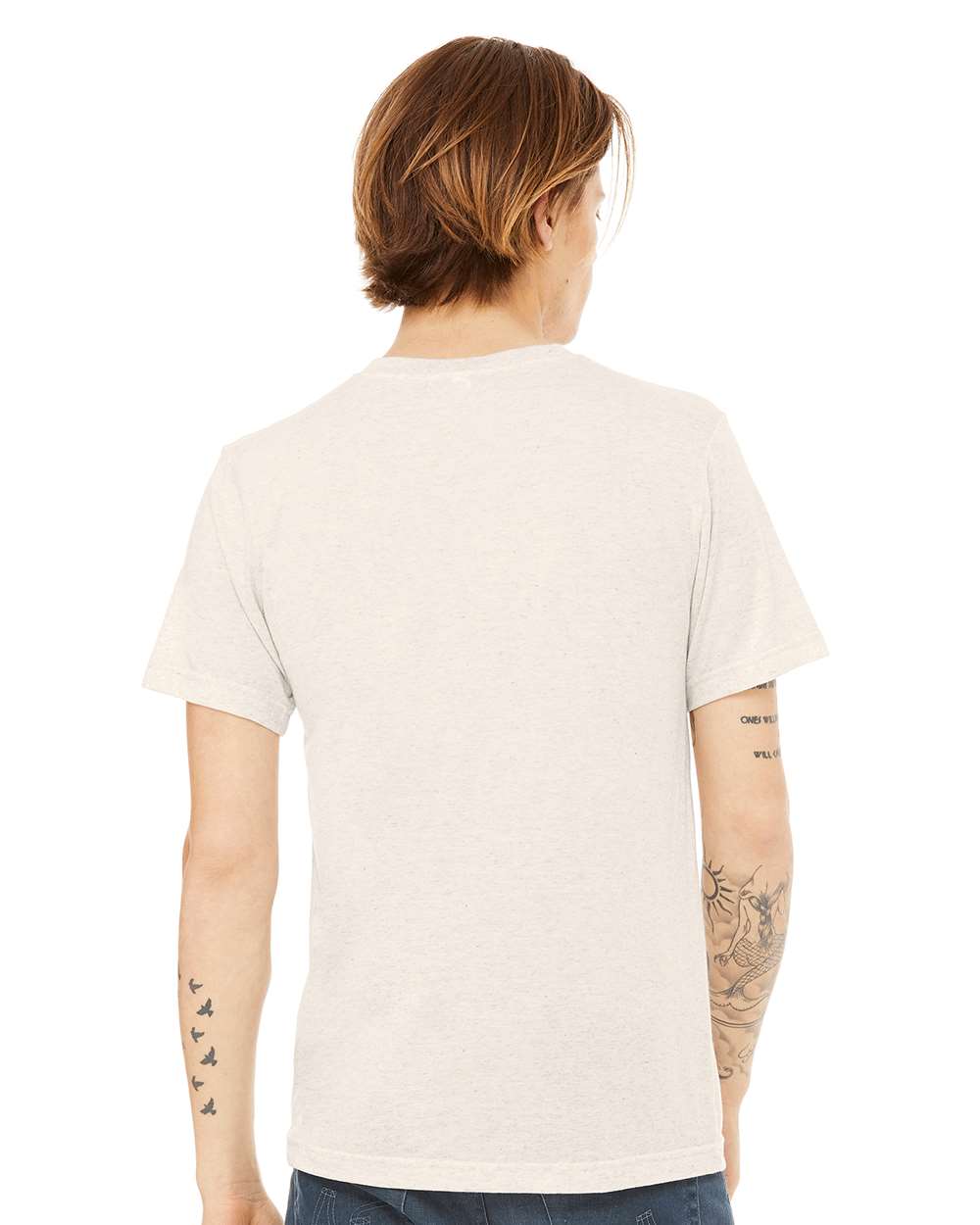 Unisex Triblend V-Neck Tee - OnModelBack - B02006242 - Oatmeal Triblend