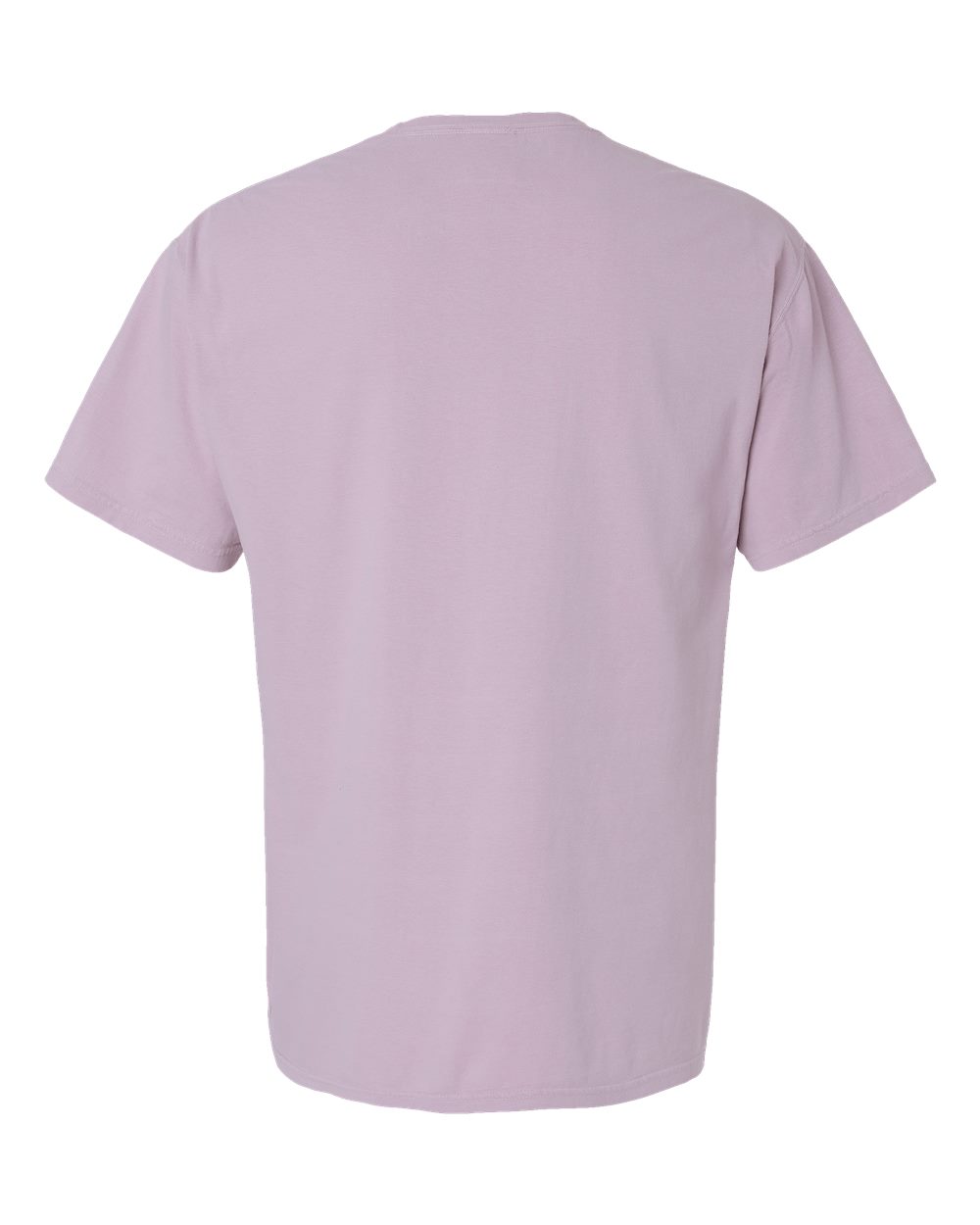 Unisex Botanical Dyed T-Shirt - Back - B11100113 - Botanical Nimbus
