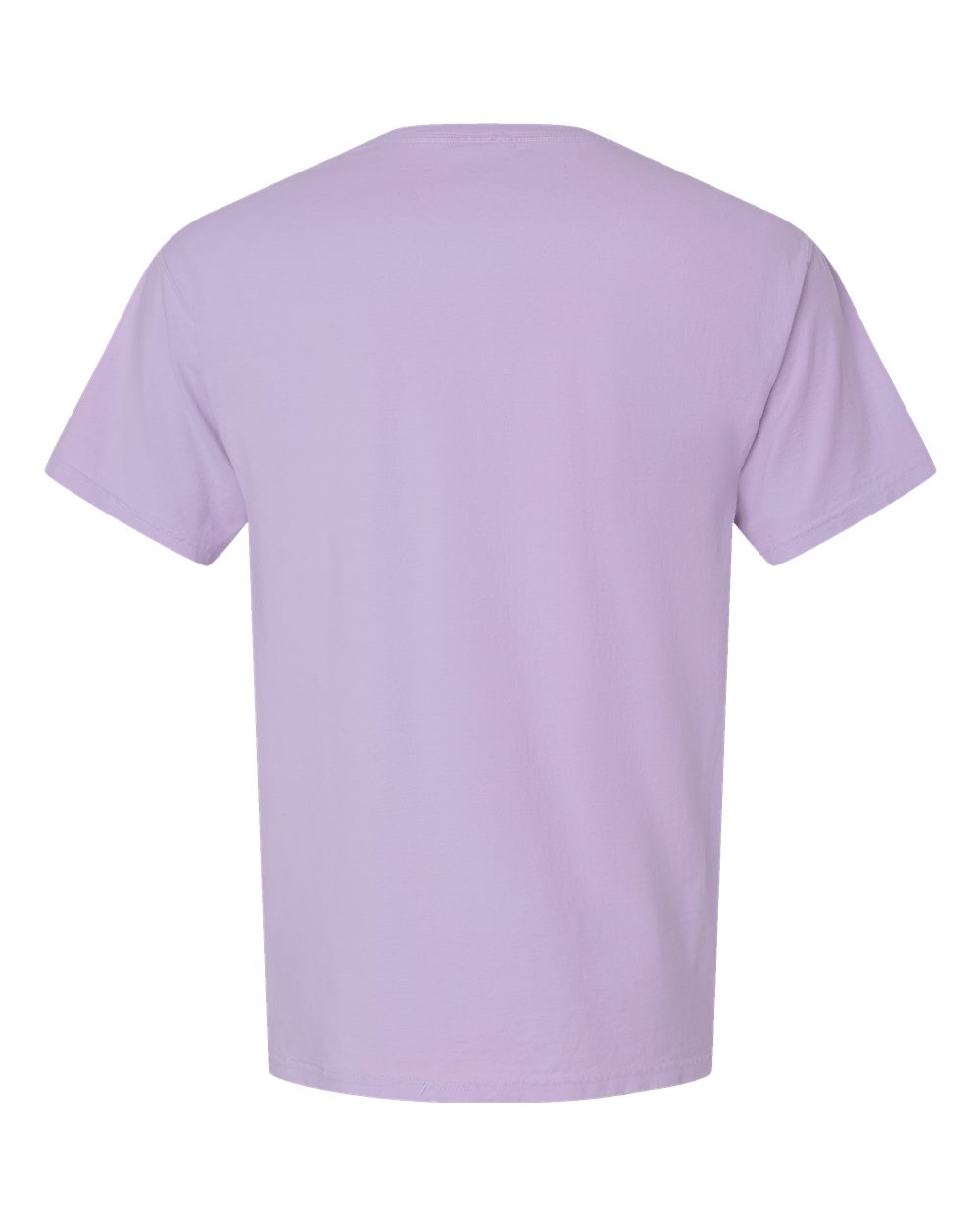 Men's Garment-Dyed T-Shirt - Back - B35100143 - Future Lavender
