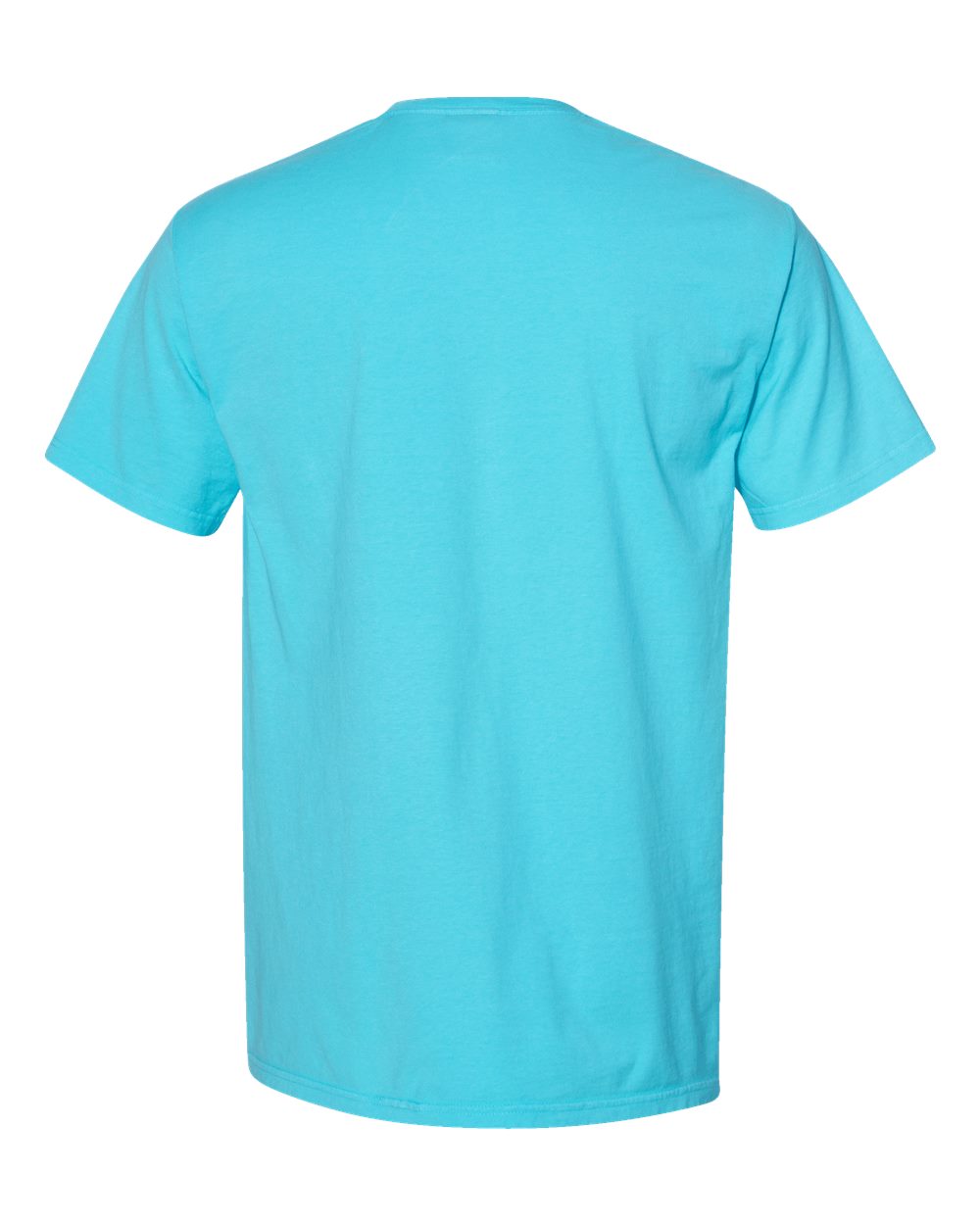 Men's Garment-Dyed T-Shirt - Back - B35100243 - Freshwater
