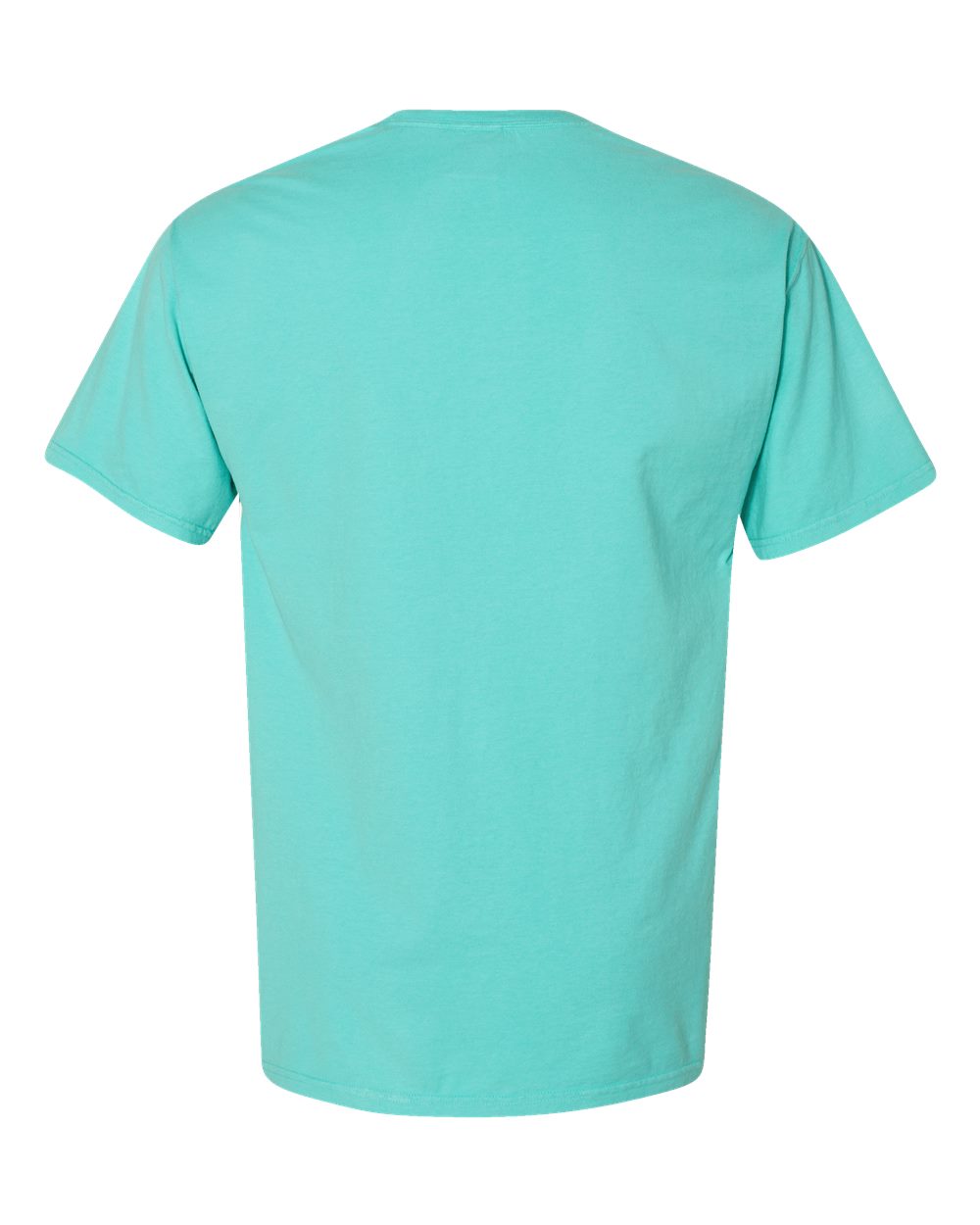 Men's Garment-Dyed T-Shirt - Back - B35100873 - Mint