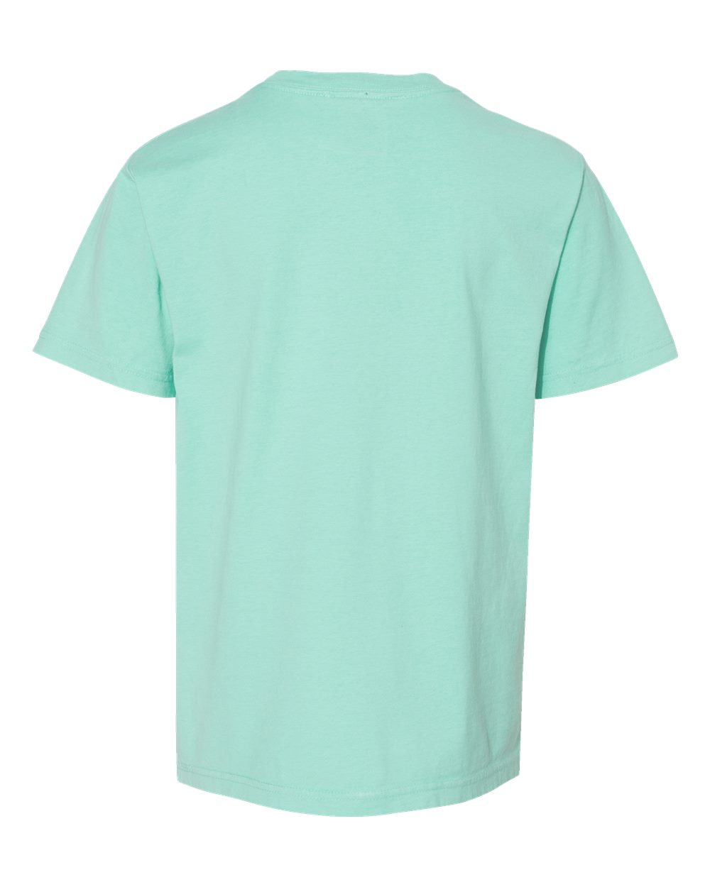 Youth Garment-Dyed T-Shirt - Back - B36900472 - Honeydew