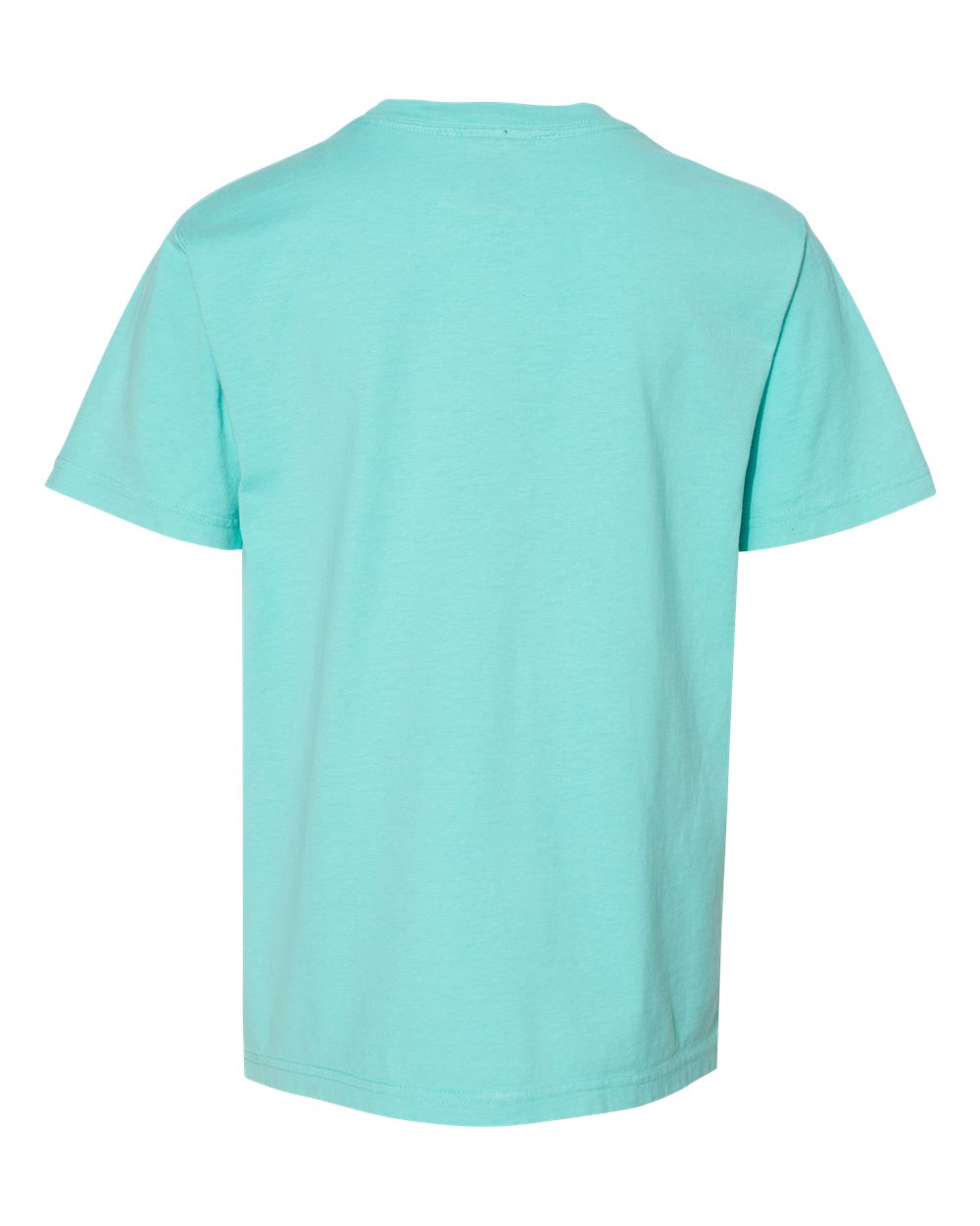 Youth Garment-Dyed T-Shirt - Back - B36900872 - Mint