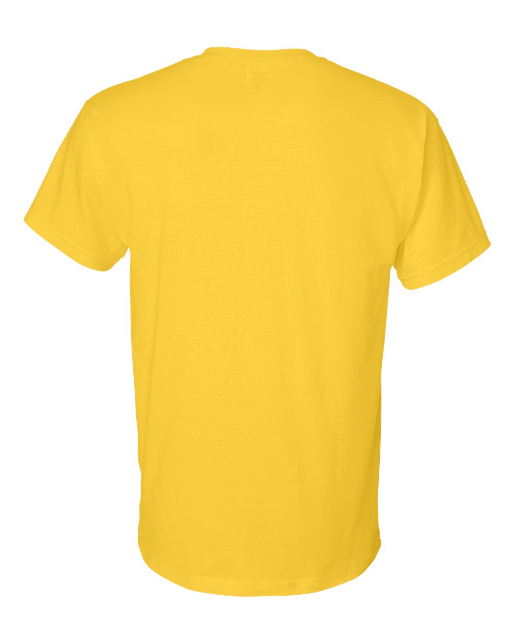Unisex DryBlend® T-Shirt - Back - B06560413 - Daisy