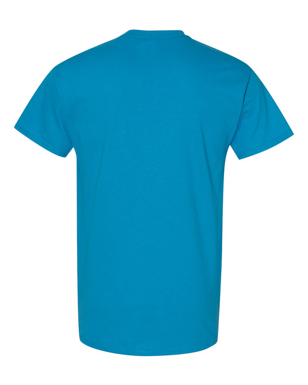 Men's Heavy Cotton™ T-Shirt - Back - B00060763 - Sapphire