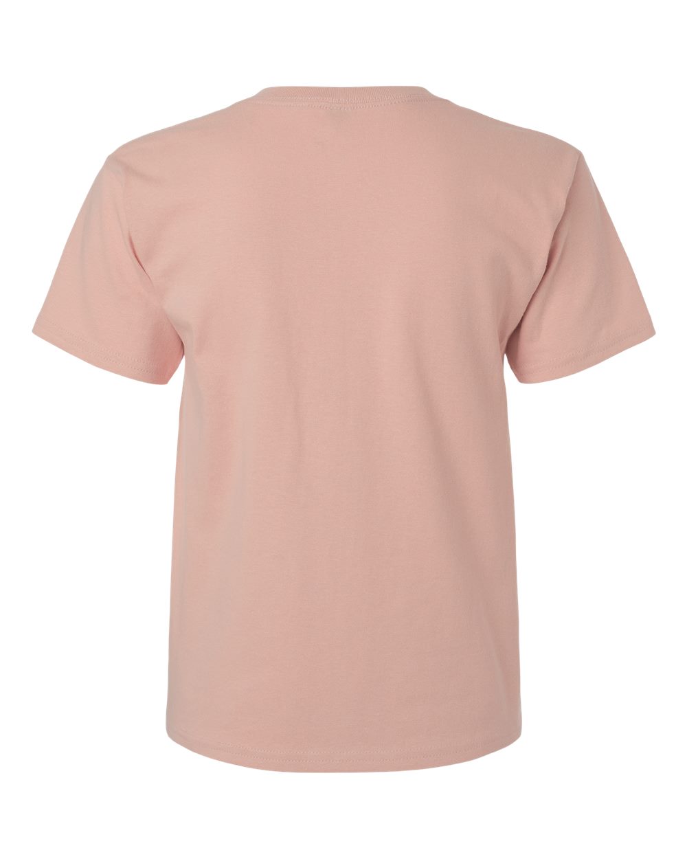 Women's Heavy Cotton™ T-Shirt - Back - B86960323 - Dusty Rose