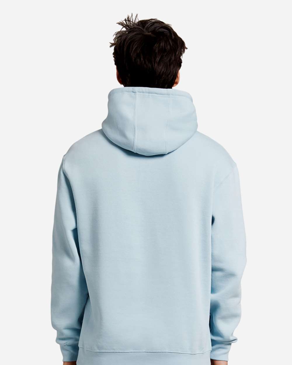 Unisex Premium Pullover Hooded Sweatshirt - OnModelBack - B487C9252 - Blue Mist