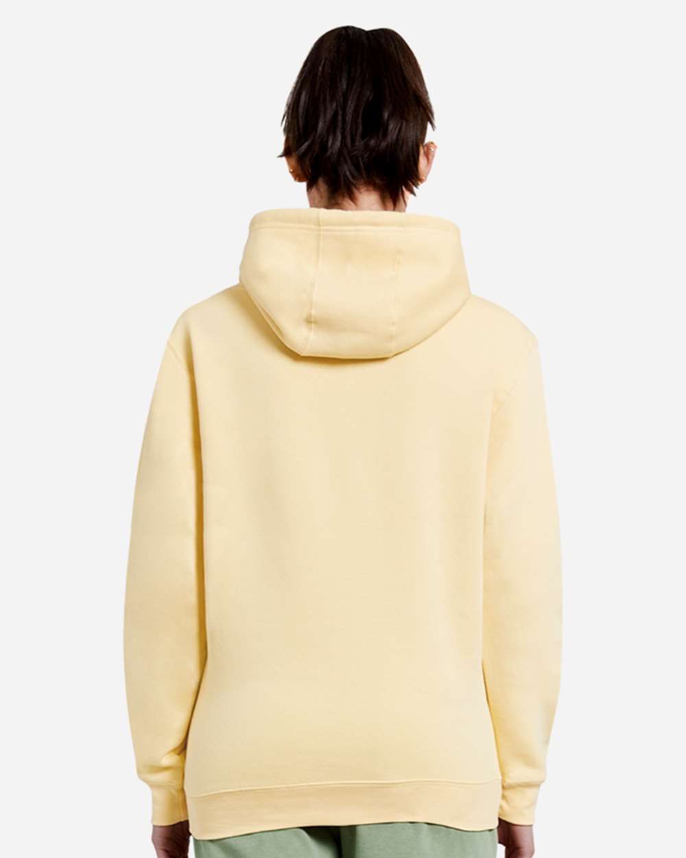 Unisex Premium Pullover Hooded Sweatshirt - OnModelBack - B487C9402 - Pina Colada