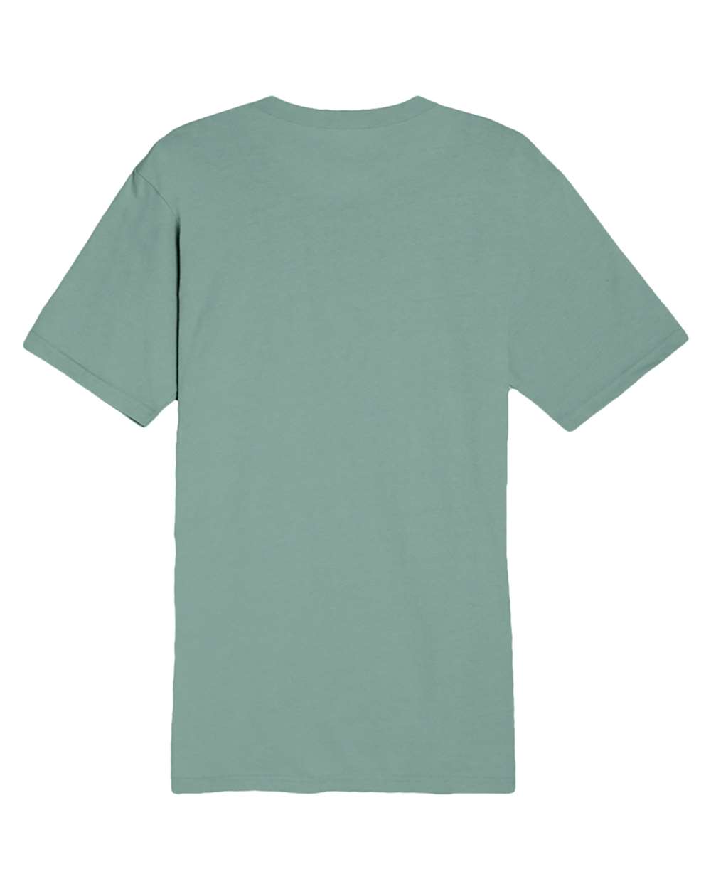 Heavyweight T-Shirt - Back - B492C9542 - Sage