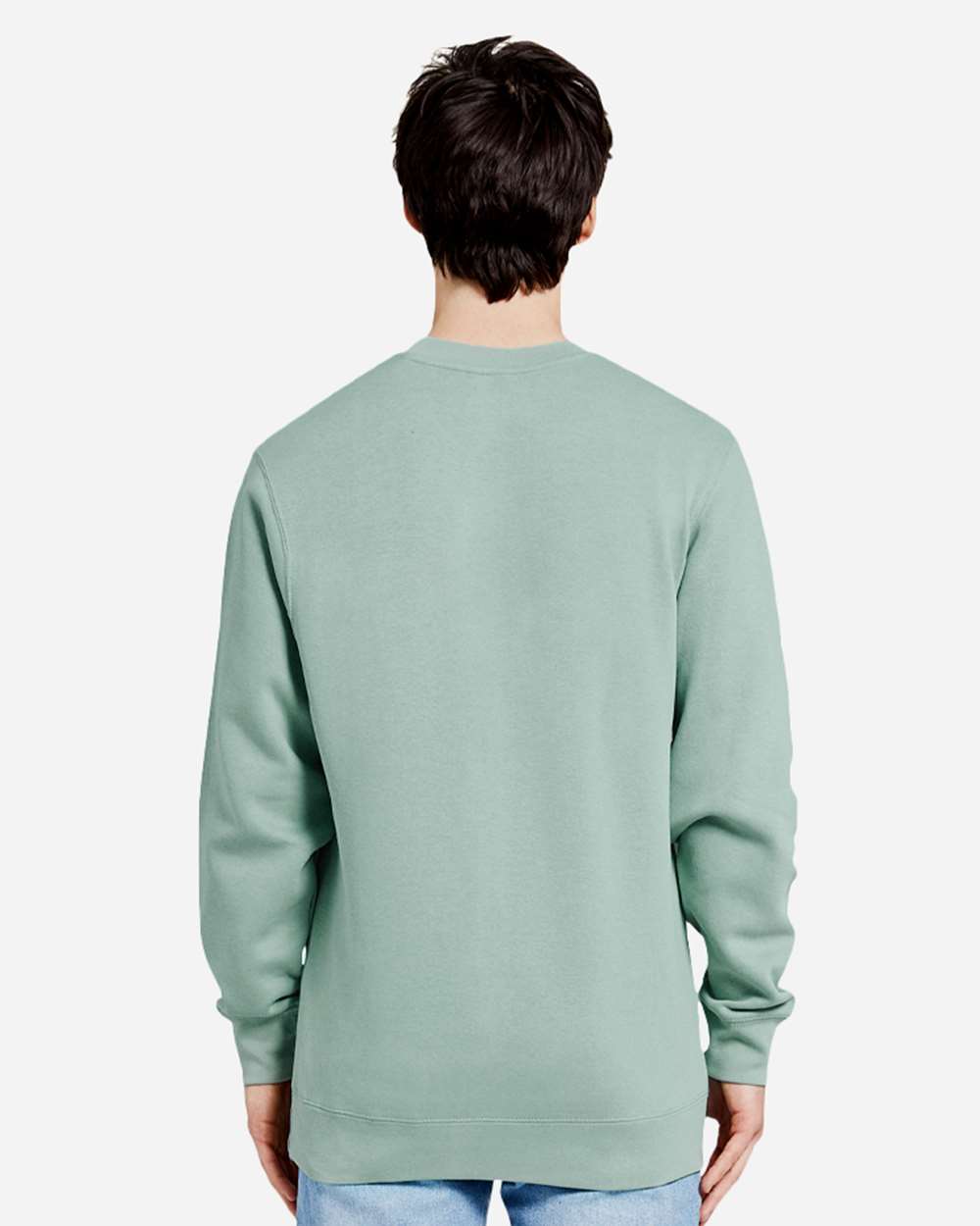 Unisex Premium Crewneck Sweatshirt - OnModelBack - B489C9172 - Seafoam