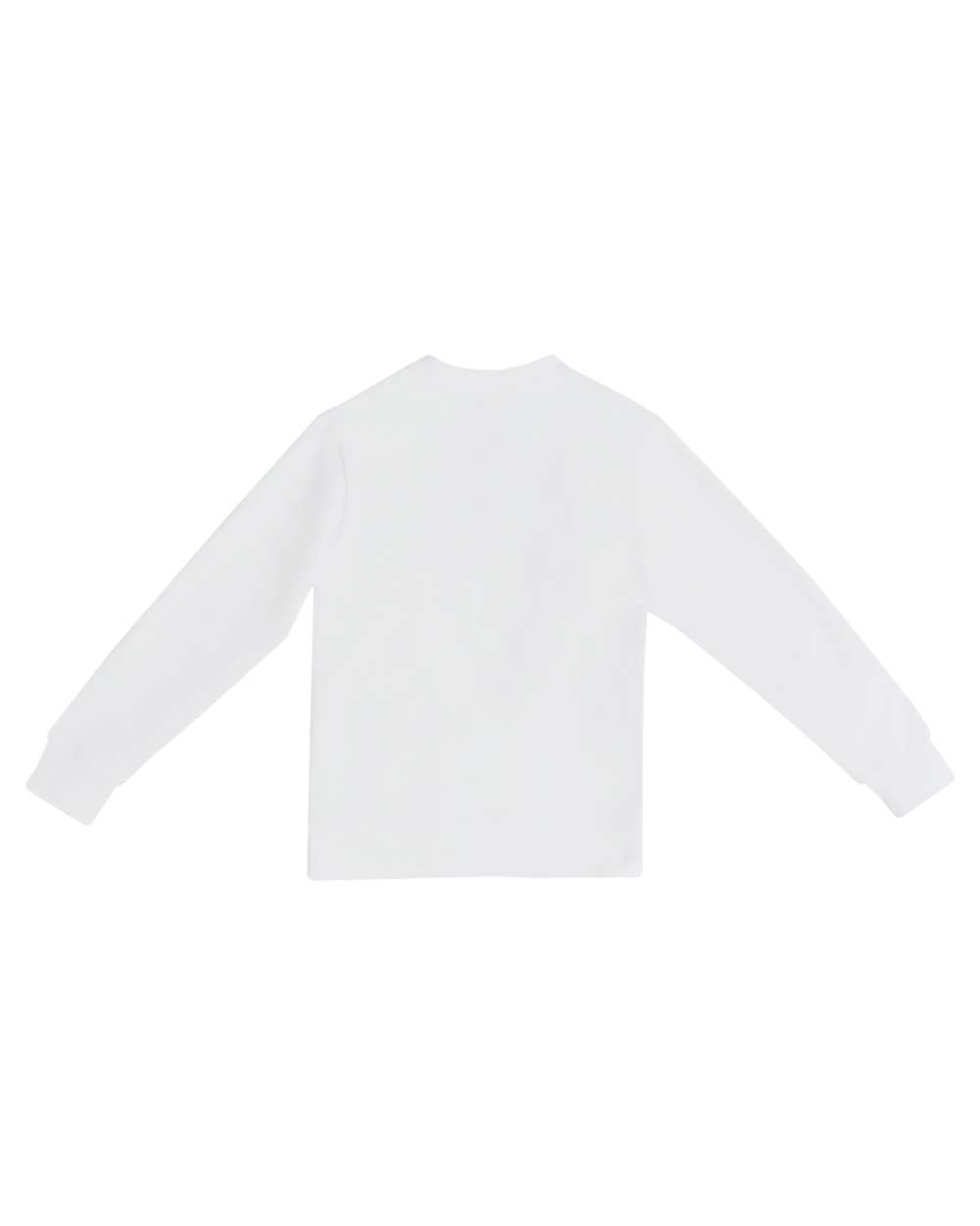 Unisex Pigment-Dyed Crewneck Sweatshirt - Back - B496C9102 - Lunar Rock