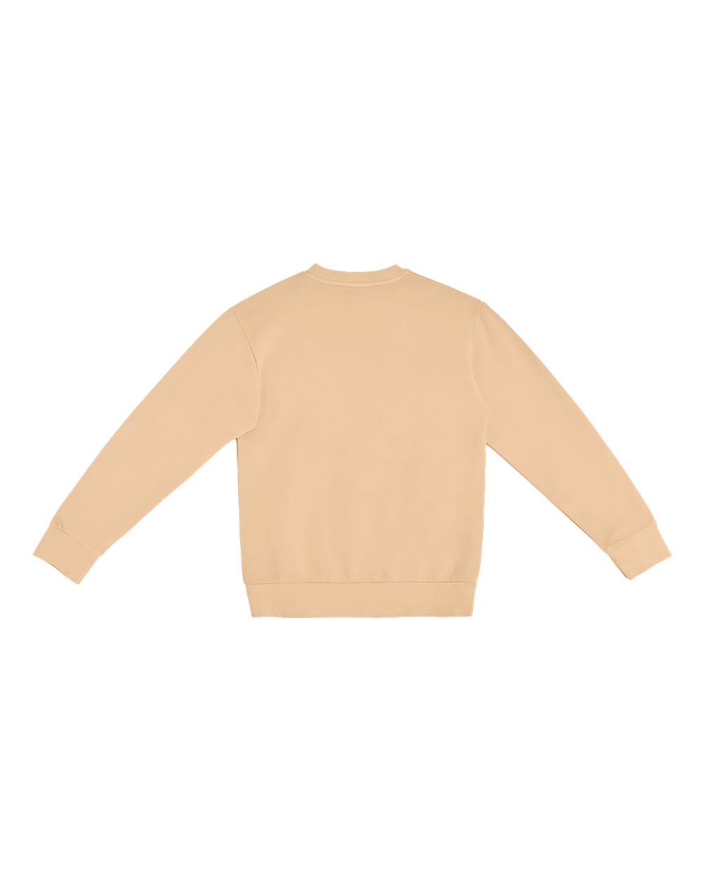 Unisex Pigment-Dyed Crewneck Sweatshirt - Back - B496C9602 - Burro