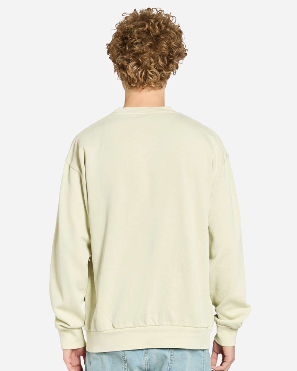 Unisex Pigment-Dyed Crewneck Sweatshirt - OnModelBack - B496C9172 - Pistachio