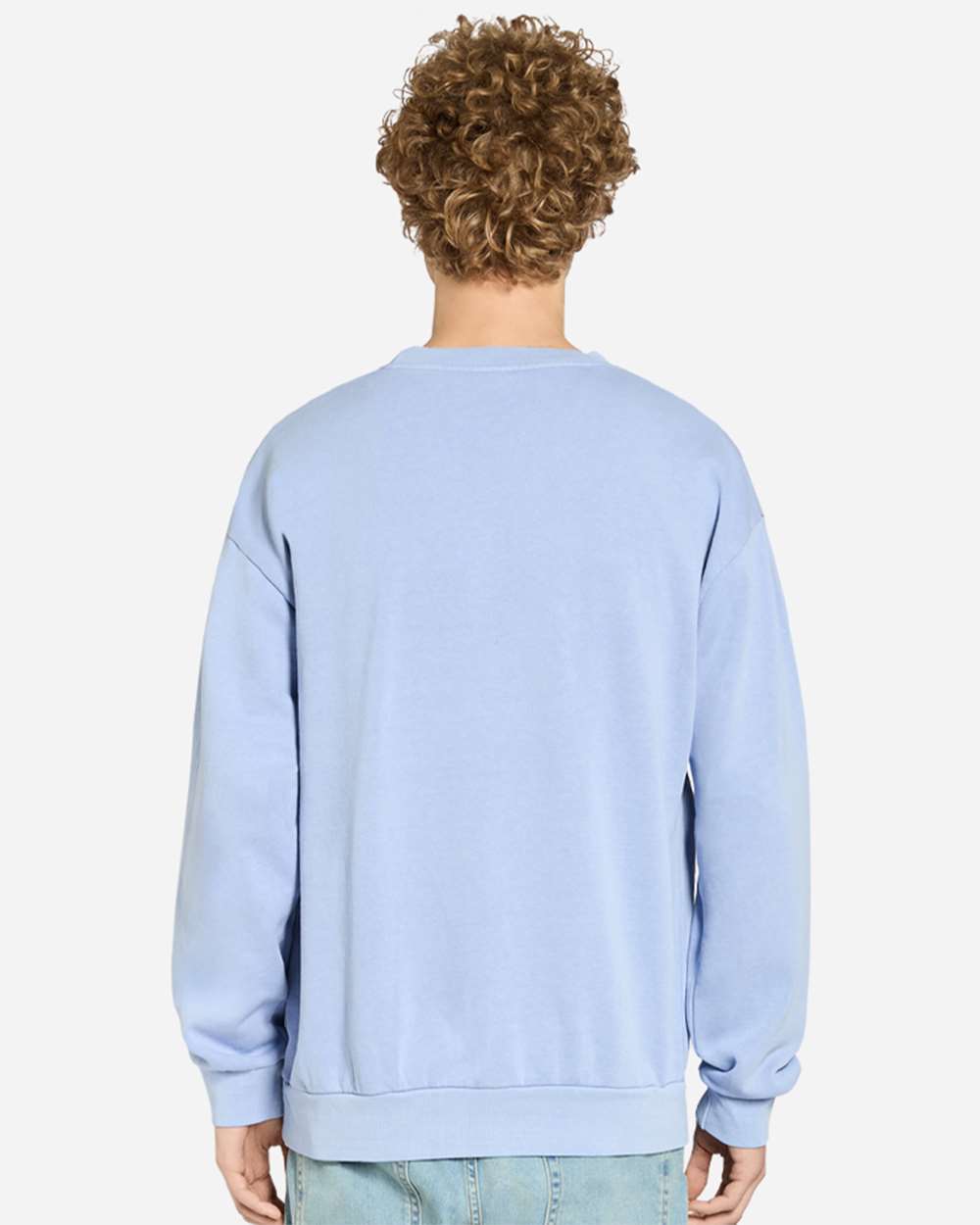 Unisex Pigment-Dyed Crewneck Sweatshirt - OnModelBack - B496C9672 - Grape Ice