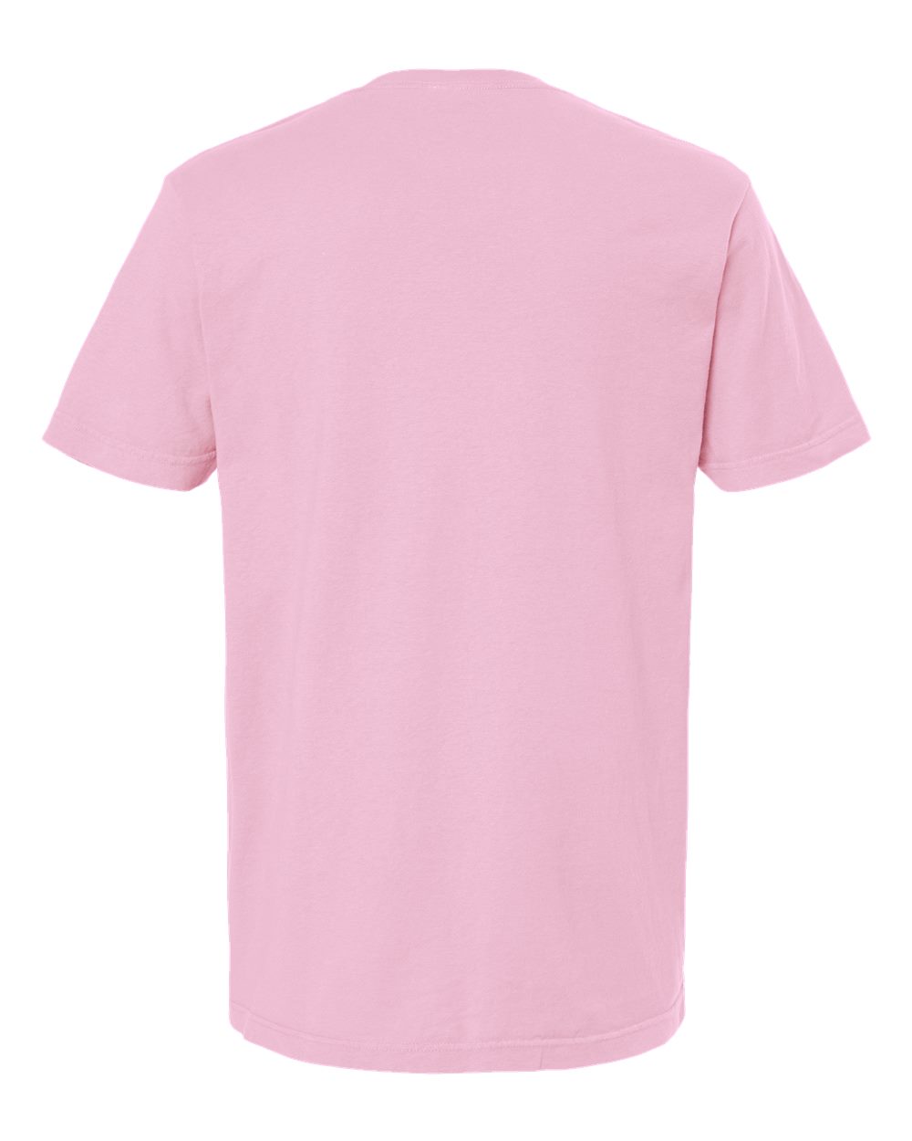 Unisex Vintage Garment-Dyed T-Shirt - Back - B03042303 - Blossom