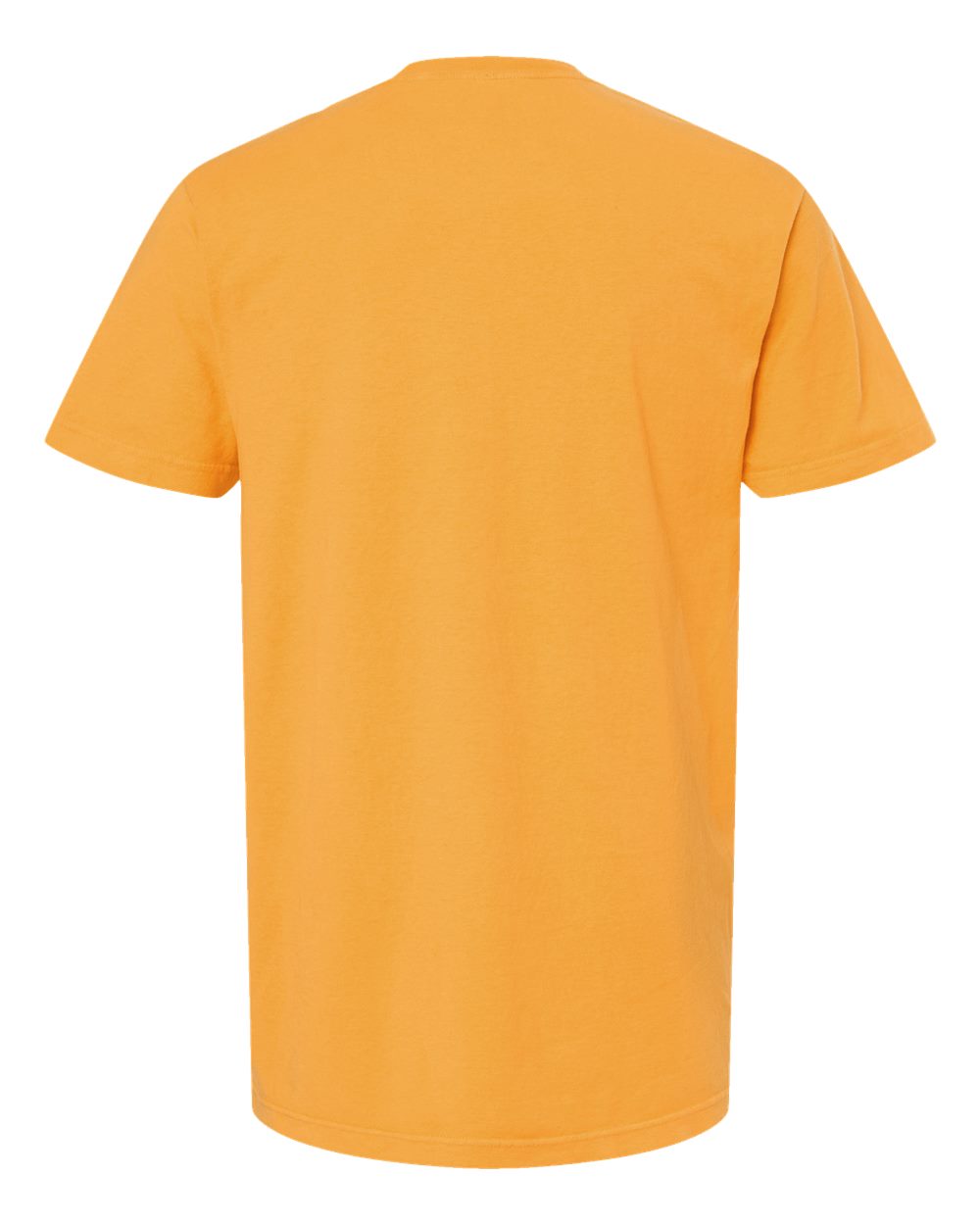 Unisex Vintage Garment-Dyed T-Shirt - Back - B03042403 - Citrus