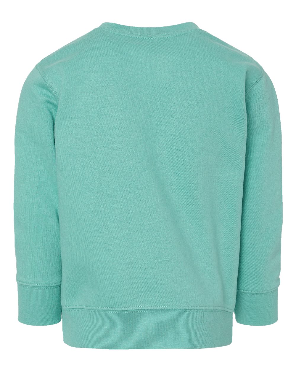 Toddler Fleece Crewneck Sweatshirt - Back - B32938333 - Saltwater