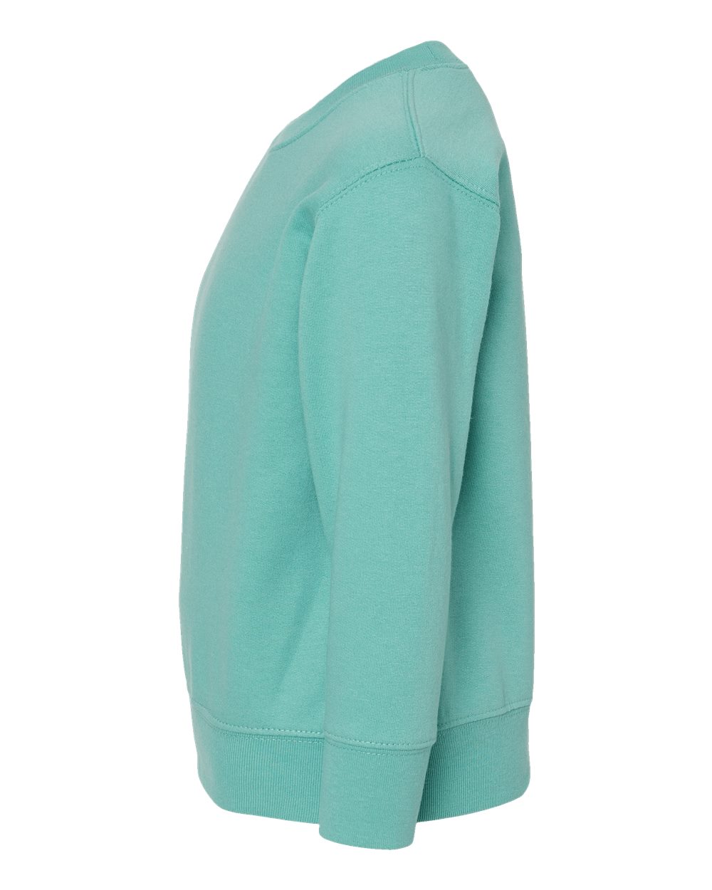 Toddler Fleece Crewneck Sweatshirt - DirectSide - B32938333 - Saltwater