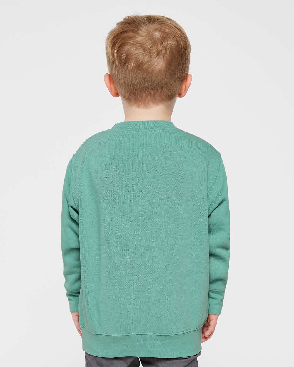 Toddler Fleece Crewneck Sweatshirt - OnModelBack - B32938333 - Saltwater