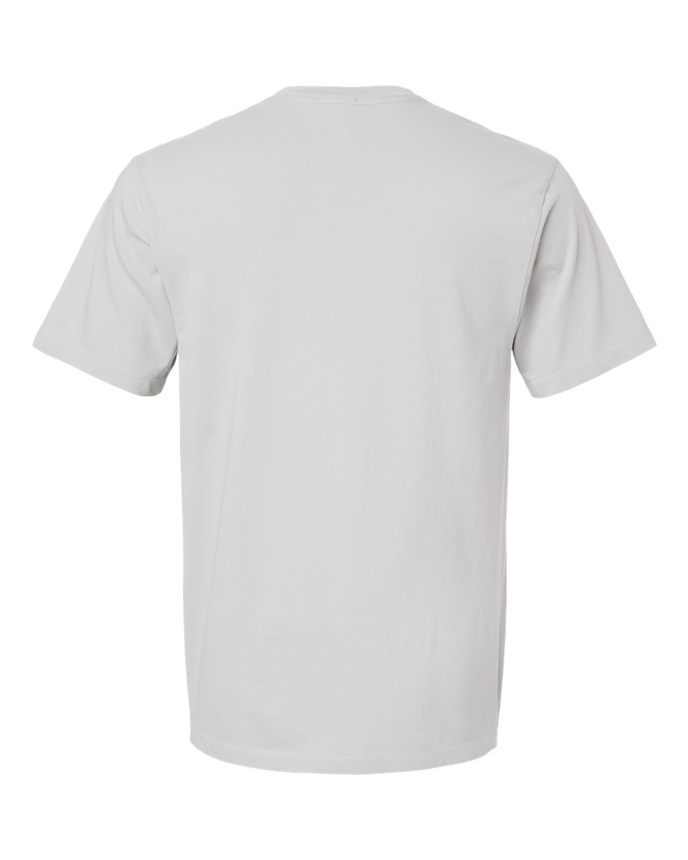 Unisex Organic T-Shirt - Back - B10072163 - Silver